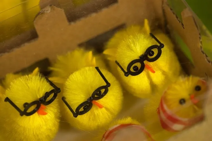Pollitos con gafas para decorar la "MONA" de pascua | PASCUA ...