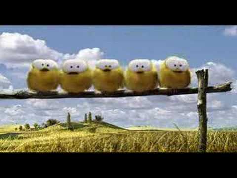 pollitos graciosos - YouTube