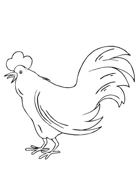 dibujo-de-pollo-para-colorear.jpg