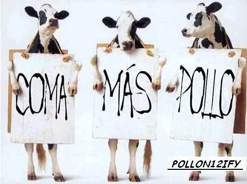 POLLOS GRACIOSOS
