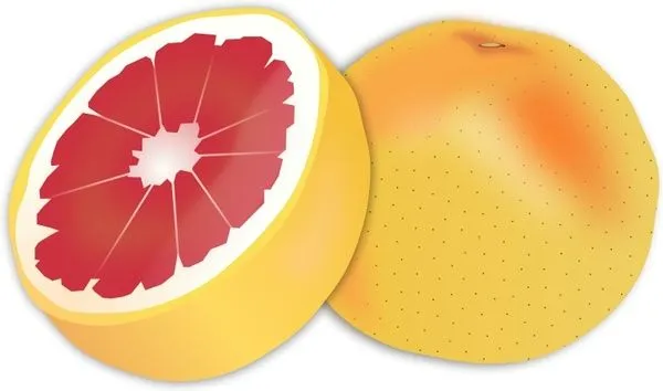 Pomelo Vector de imágenes prediseñadas - vectores gratis para su ...