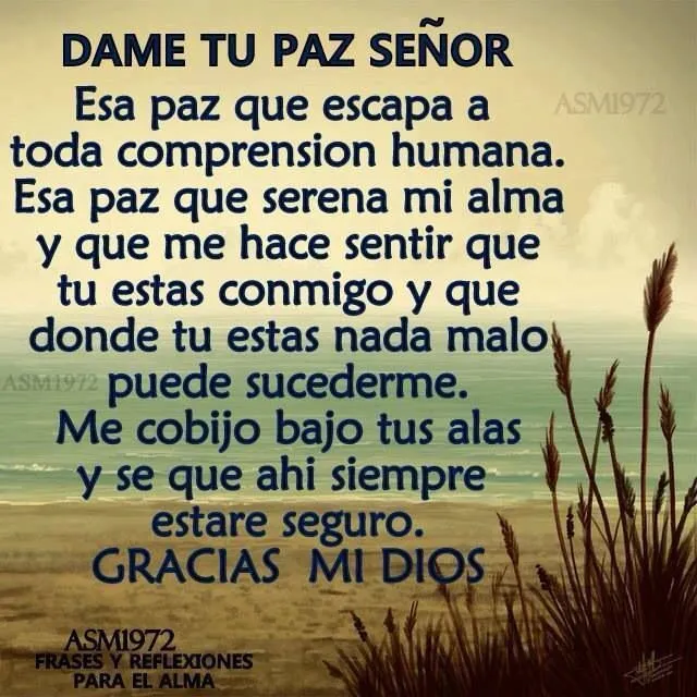 pon todas tus preocupaciones y ansiedades en las manos de Dios ... pon todas tus preocupaciones y ansiedades en las manos de Dios ...
