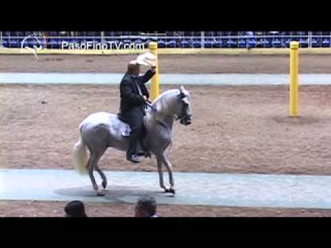Ponce 2012 Caballos De Paso Fino 72 a 90 - YouTube Ponce 2012 Caballos De Paso Fino 72 a 90 - YouTube