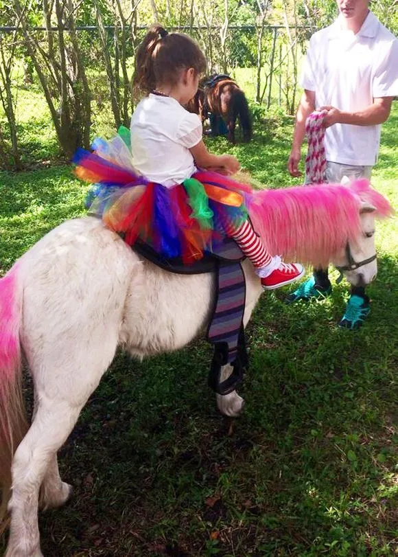 Ponis, juegos mecánicos y mucha diversión, así festeja William ... Ponis, juegos mecánicos y mucha diversión, así festeja William ...