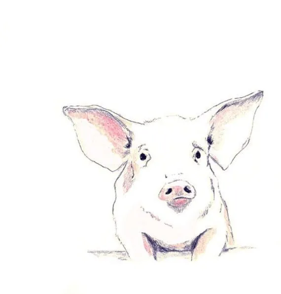 Popular items for pig drawing on Etsy