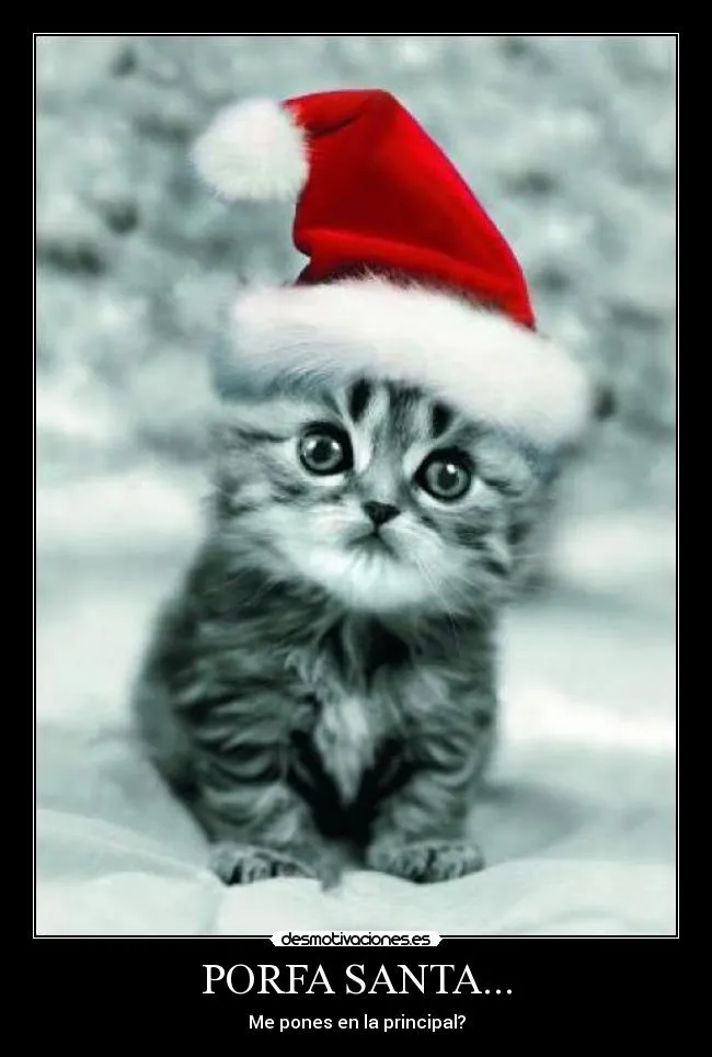 PORFA SANTA... | Desmotivaciones