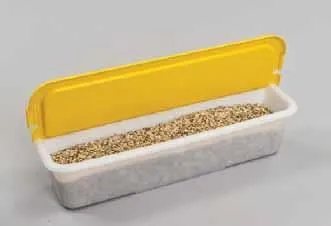 Moldes de flor margarita - Imagui