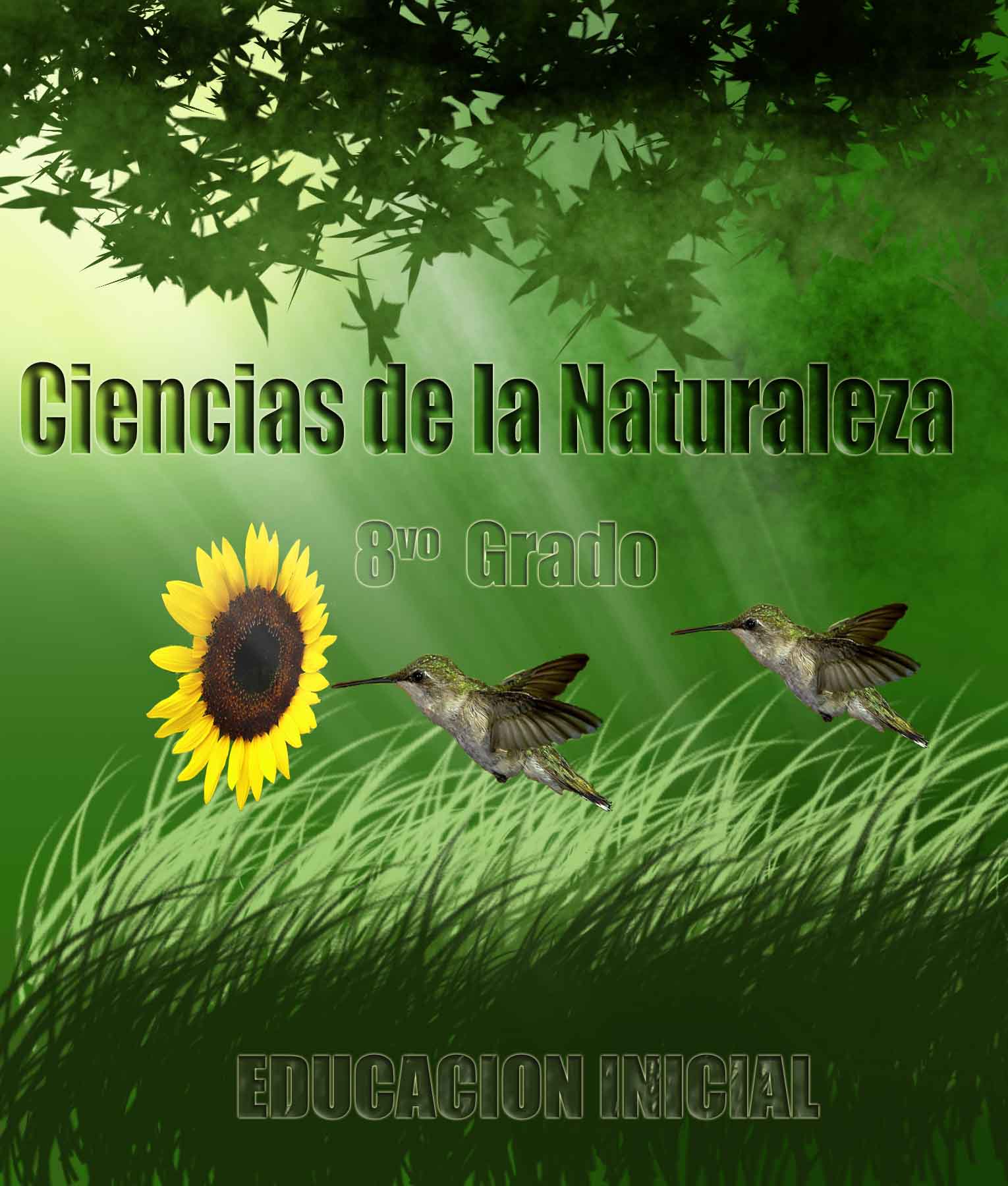 Portada libro de Ciencias Naturales | Luigi Mota