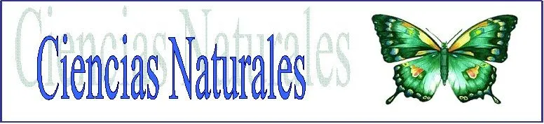 Ciencias Naturales: Enfermedades de transmisión sexual y SIDA Ciencias Naturales: Enfermedades de transmisión sexual y SIDA