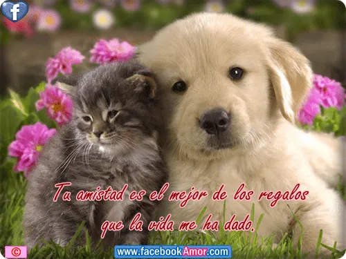 portadas bonitas con frases de amistad etiquetar en facebook ... portadas bonitas con frases de amistad etiquetar en facebook ...