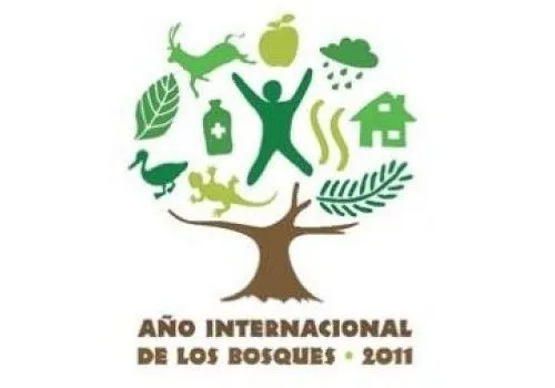 2011 es el Año Internacional de los Bosques | Aula de Ciencias ...
