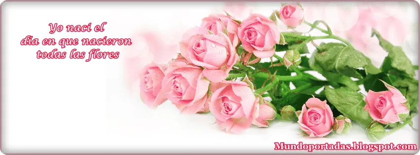 Imágenes lindas flores de rosas para portadas facebook ~ Portadas ...