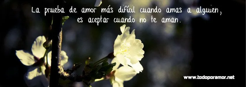 1) Nuevas portadas para tu Facebook con frases de amor ~ Todo por Amor 1) Nuevas portadas para tu Facebook con frases de amor ~ Todo por Amor