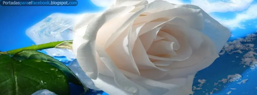 Portadas de Rosas para Facebook - Portadas para facebook Portadas de Rosas para Facebook - Portadas para facebook