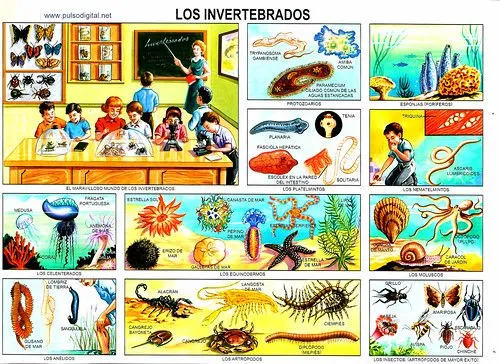 Portadas De Trabajos Escolares Para Imprimir Portadas De Trabajos Escolares Para Imprimir