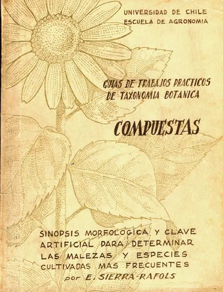 Imagenes para trabajos practicos - Imagui