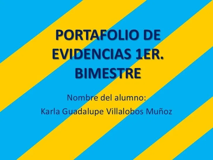 Portafolio de evidencias 1 er bimestre