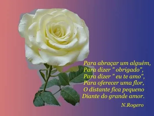 Portal da Amizade - Mensagem de amizade - Declaração de Amor ...