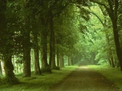 Portal Info: As mais lindas paisagens do mundo