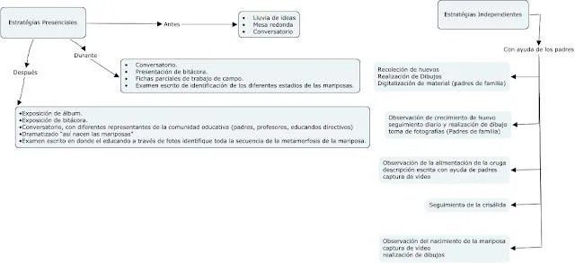 Portal Informático: Curso Cómo Nacen Las Mariposas Portal Informático: Curso Cómo Nacen Las Mariposas
