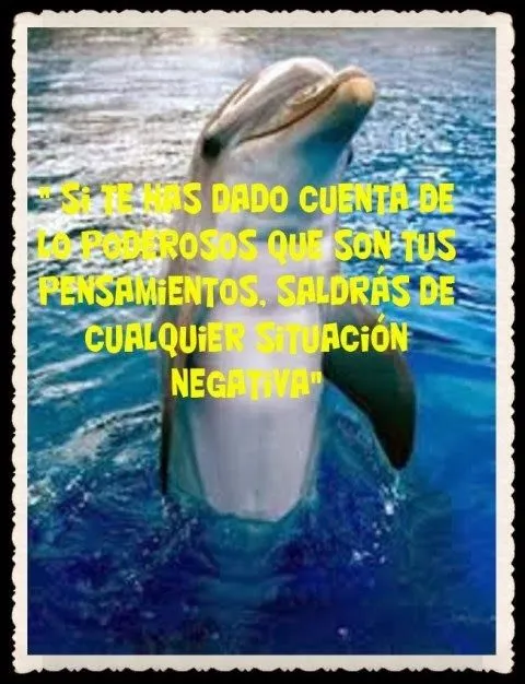 FLOR DE CANELA POR FANNY JEM WONG: DELFINES SABIOS- CITAS Y ... FLOR DE CANELA POR FANNY JEM WONG: DELFINES SABIOS- CITAS Y ...
