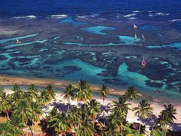 PORTO DE GALINHAS | Turismo Brasileiro | Pinterest PORTO DE GALINHAS | Turismo Brasileiro | Pinterest