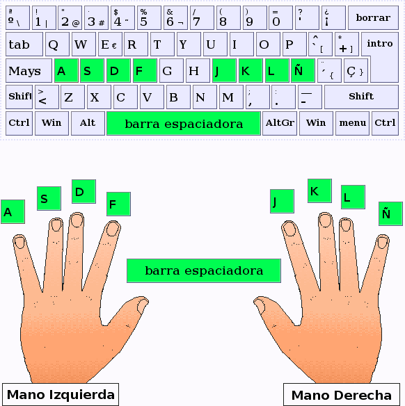 La posición de las manos - ARTypist