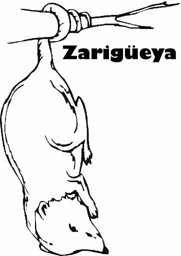DIBUJOS DE ZARIGÜEYAS PARA COLOREAR