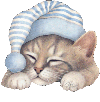 Salinha dos Gifs: Gatos