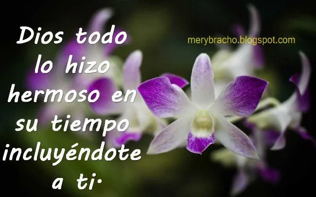Postal Dios todo lo hizo hermoso | Entre Poemas y Vivencias Postal Dios todo lo hizo hermoso | Entre Poemas y Vivencias