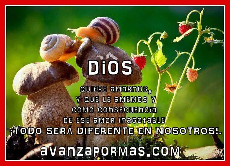 POSTAL con Frase) "DIOS quiere amarnos,y que le amemos y como ... POSTAL con Frase) "DIOS quiere amarnos,y que le amemos y como ...