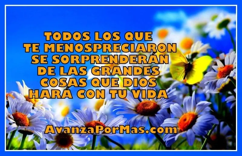 POSTAL con Frase) "TODOS LOS QUE TE MENOSPRECIARON SE SORPRENDERÁN ... POSTAL con Frase) "TODOS LOS QUE TE MENOSPRECIARON SE SORPRENDERÁN ...