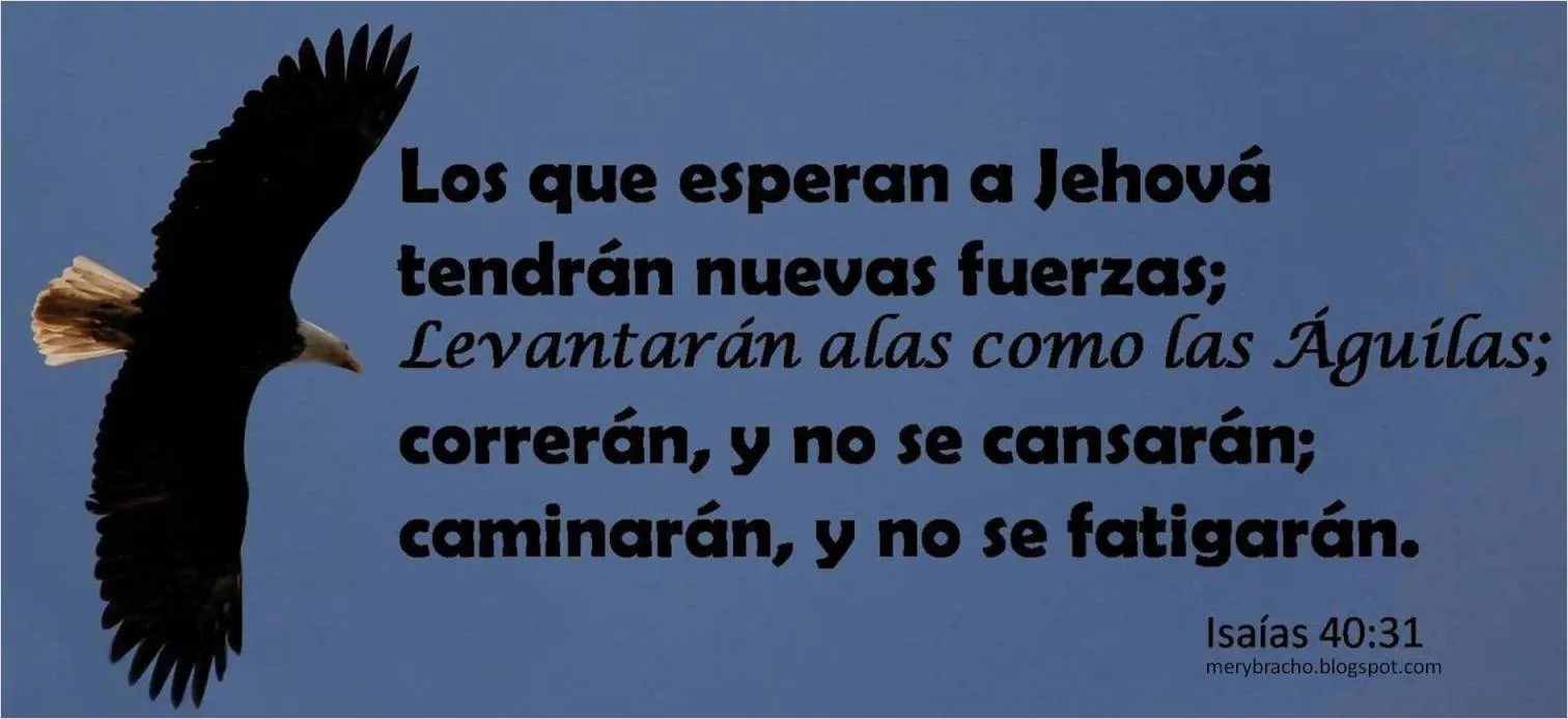 Postal Levantarán alas como águilas | Entre Poemas y Vivencias Postal Levantarán alas como águilas | Entre Poemas y Vivencias