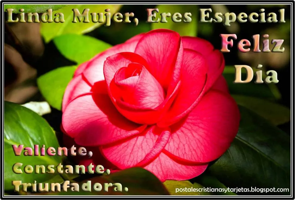 Postal Mujer Linda, Eres Especial | Postales Cristianas y Tarjetas Postal Mujer Linda, Eres Especial | Postales Cristianas y Tarjetas