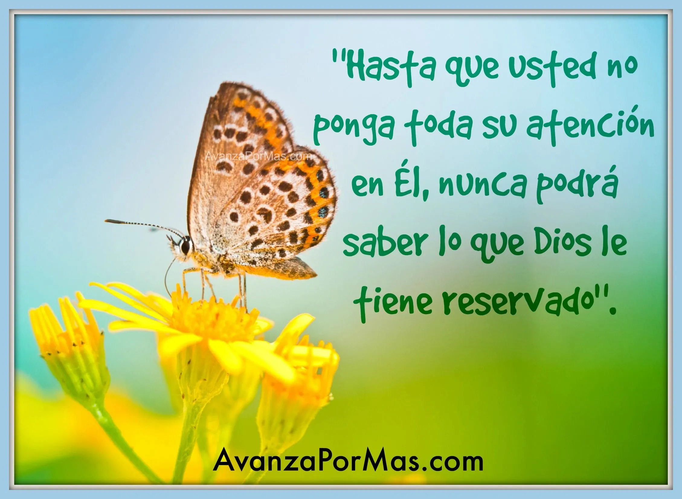 POSTAL) "Hasta que usted no ponga toda su atención.." -> Imágenes ... POSTAL) "Hasta que usted no ponga toda su atención.." -> Imágenes ...