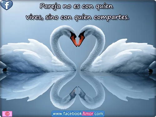 Postales bonitas para amor | flvpelis.org
