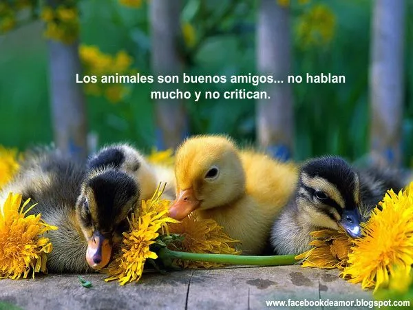 POSTALES DE AMISTAD PARA COMPARTIR EN FACEBOOK Imagenes bonitas ... POSTALES DE AMISTAD PARA COMPARTIR EN FACEBOOK Imagenes bonitas ...