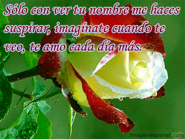 Postales bonitas de amor para whatsapp: Sarco imagenes - Imagenes ... Postales bonitas de amor para whatsapp: Sarco imagenes - Imagenes ...