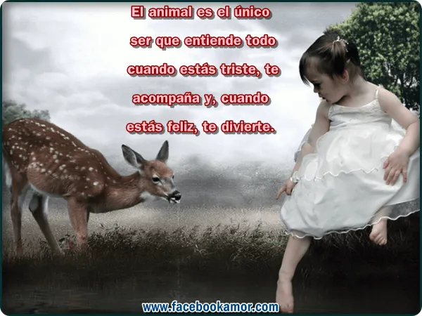 Postales bonitas niña para facebook - Imagenes de Amor Facebook Postales bonitas niña para facebook - Imagenes de Amor Facebook