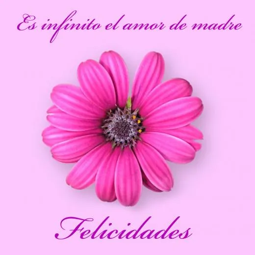 Postales - Conmemorativas-Ver Postal