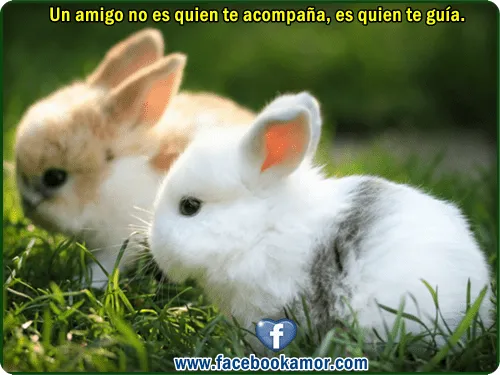 Postales para facebook amistad verdadera Imagenes de Amor Facebook