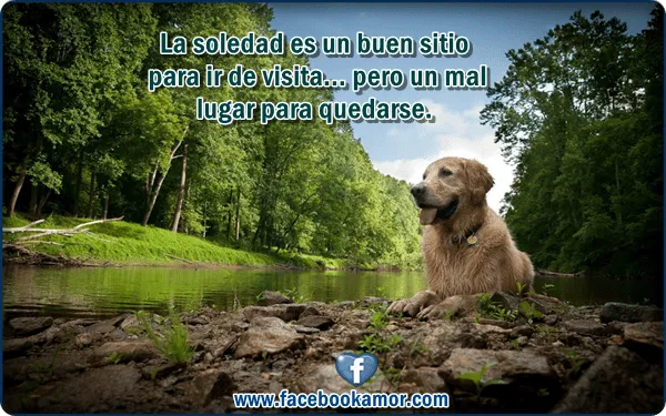 Postales para facebook soledad - Imágenes Bonitas para Facebook ... Postales para facebook soledad - Imágenes Bonitas para Facebook ...