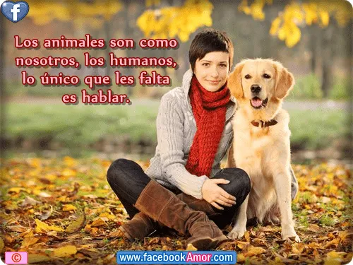 Postales con frases de animales para facebook Imagenes Bonitas ...
