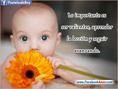 Postales con frases reflexivas - Imágenes Bonitas para Facebook ...