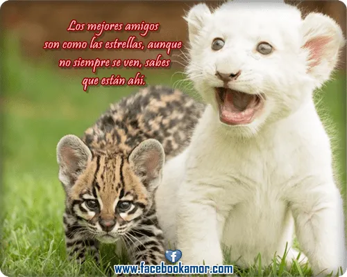 Postales hermosas para amistad compartir en facebook - Imágenes ... Postales hermosas para amistad compartir en facebook - Imágenes ...