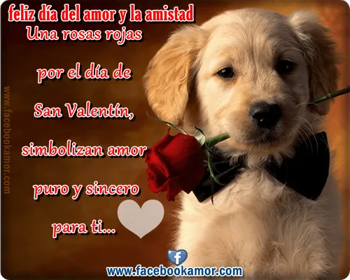 Postales hermosos para mi amigo especial, mensajes y frases de san ... Postales hermosos para mi amigo especial, mensajes y frases de san ...