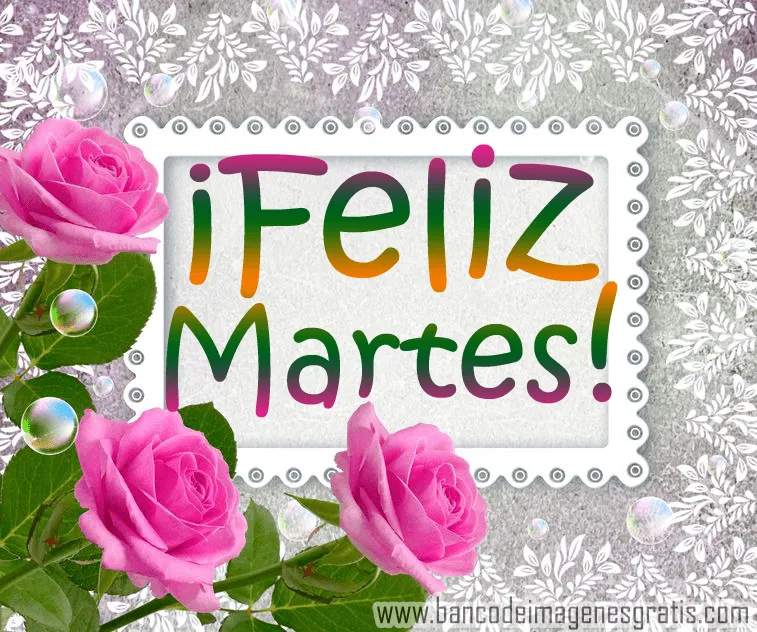 Postales con mensaje de "Feliz Martes" para compartir con quien tú ...