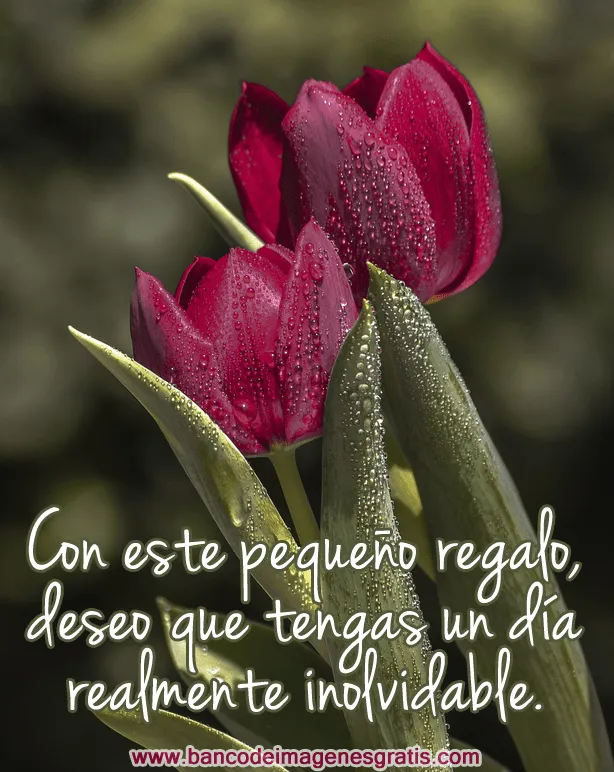Postales con mensajes de "Feliz Jueves" para compartir | Banco de ... Postales con mensajes de "Feliz Jueves" para compartir | Banco de ...