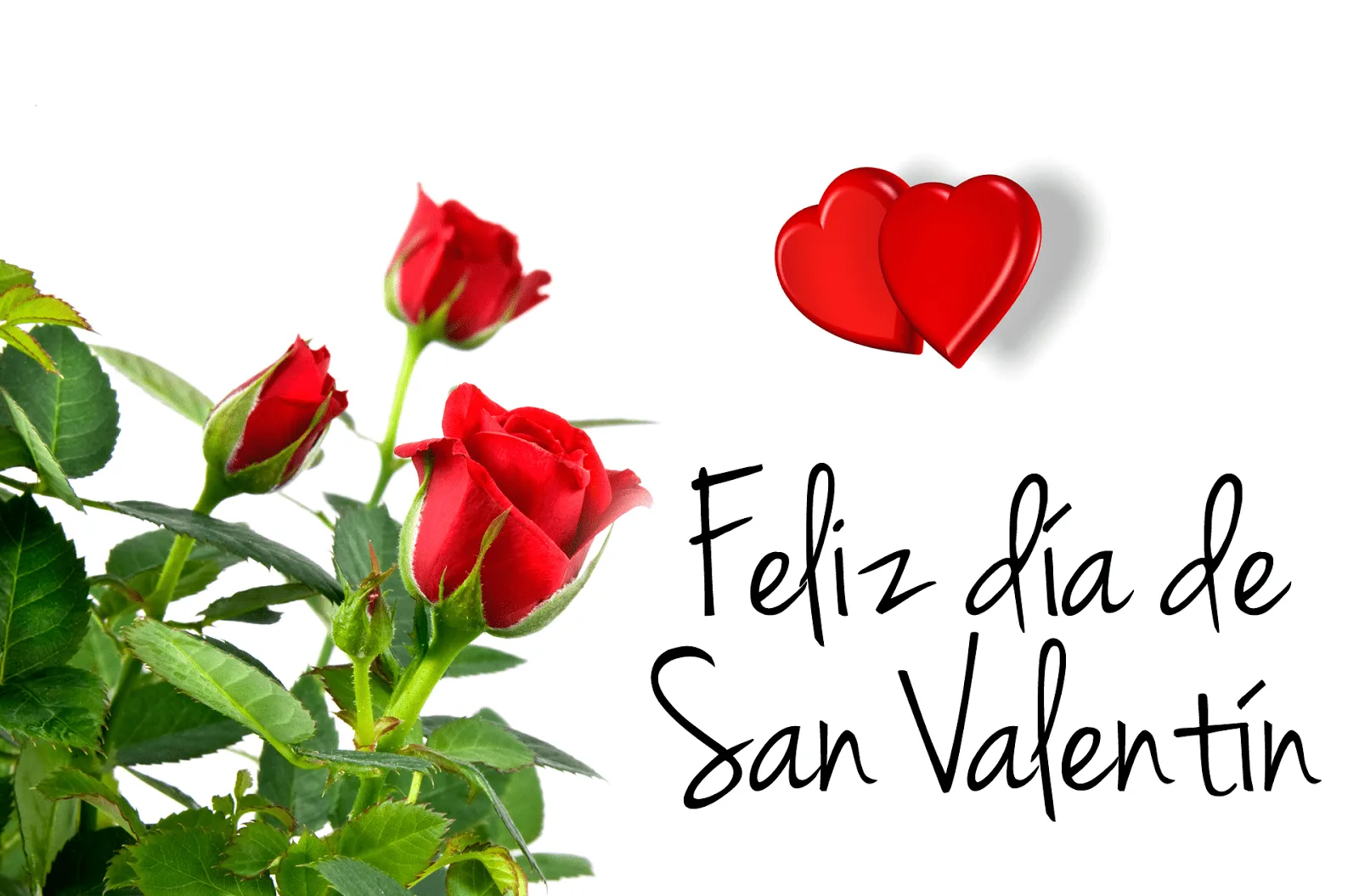 Postales con rosas y mensaje "Feliz día de San Valentín" | Banco ... Postales con rosas y mensaje "Feliz día de San Valentín" | Banco ...