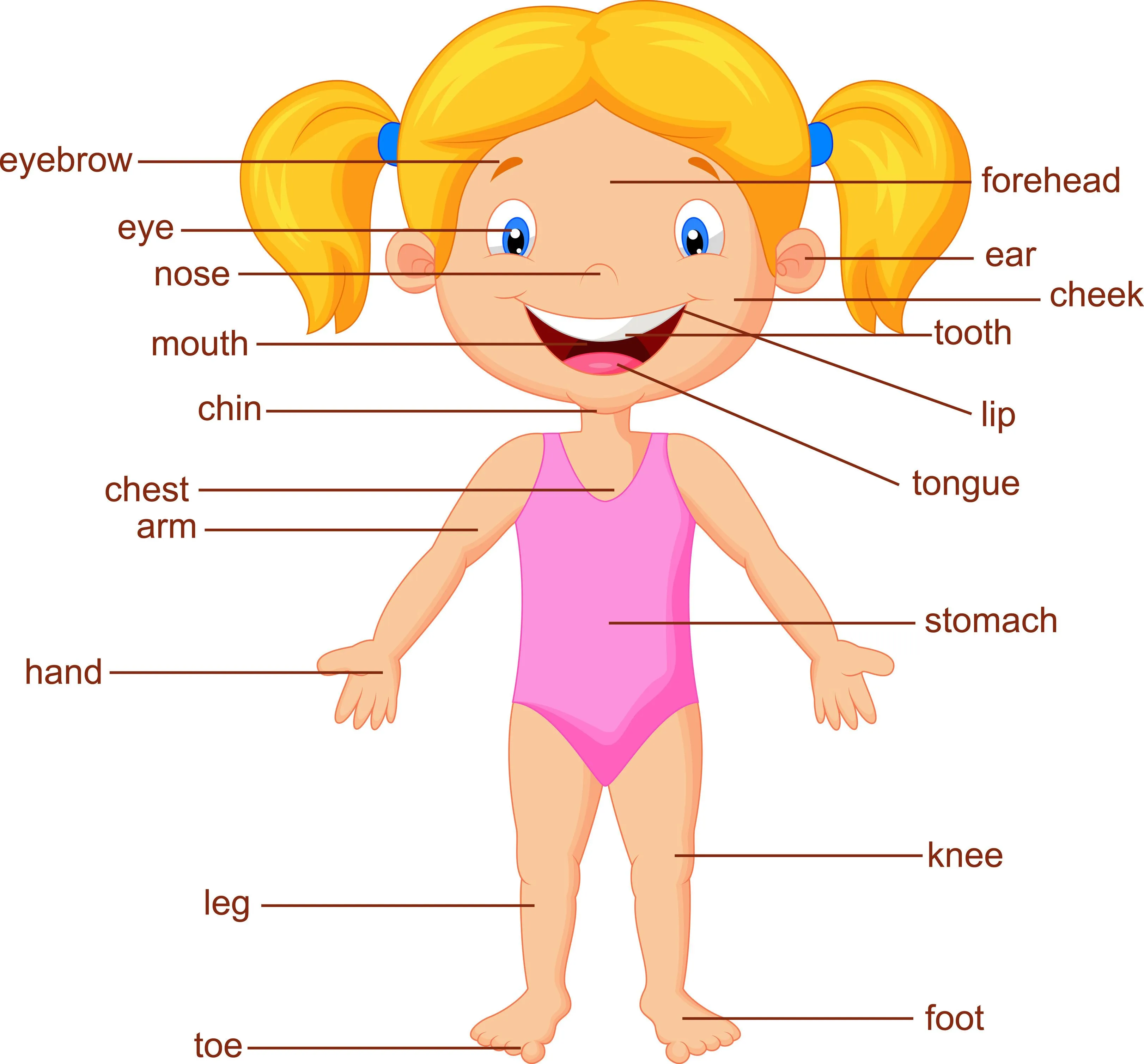 Poster para niños y niñas con las partes del cuerpo en inglés ... Poster para niños y niñas con las partes del cuerpo en inglés ...